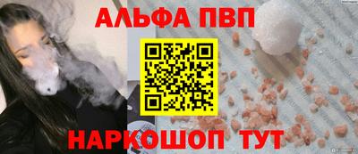 гашик Моздок