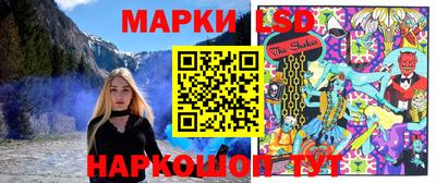 гашик Моздок