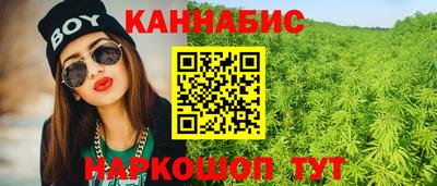 гашик Моздок