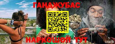 гашик Моздок