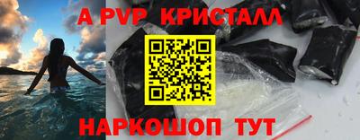 гашик Моздок
