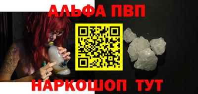 гашик Моздок