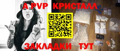 гашик Моздок