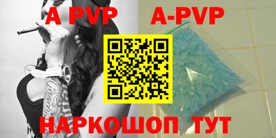 гашик Моздок