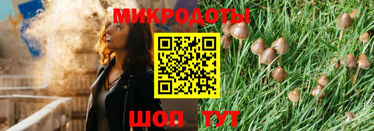 Ставрополь  Галлюциногенные грибы Psilocybe  Вход с VPN  Галлюциногенные грибы MAGIC MUSHROOMS 