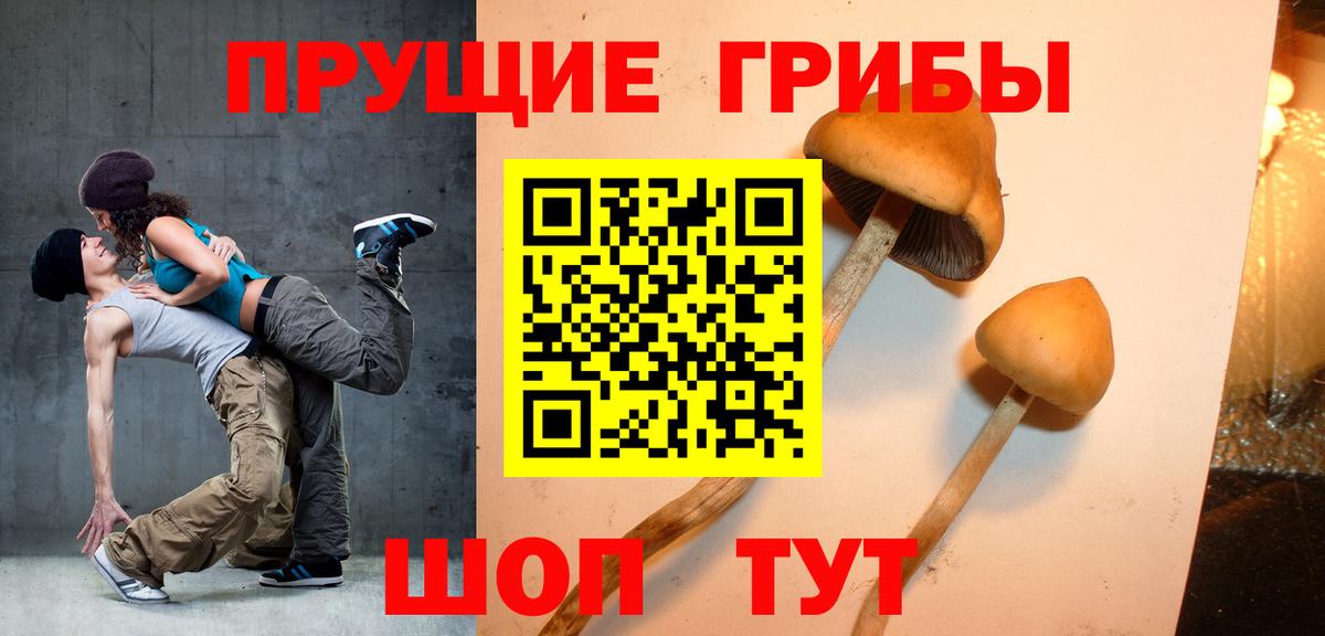 Галлюциногенные грибы мицелий Ставрополь